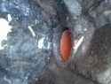 23.6.2015_002.jpg